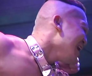 Domme japonês escravo masculino de marcas